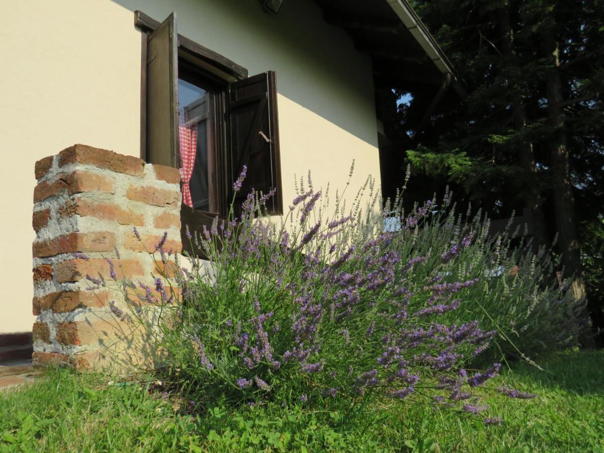 Holiday Home Kalnik Exterior foto